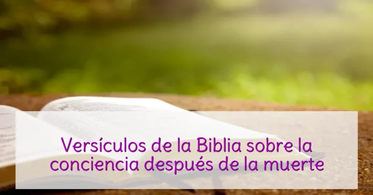 Versículos de la Biblia sobre la conciencia después de la muerte