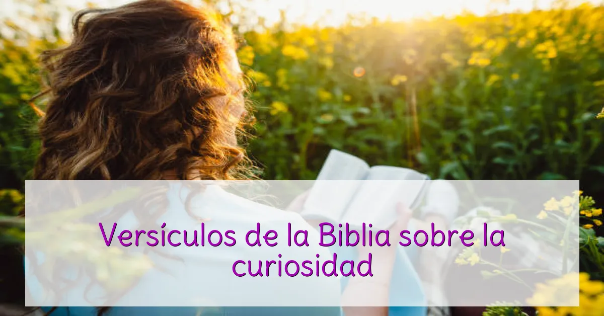 Versículos de la Biblia sobre la curiosidad