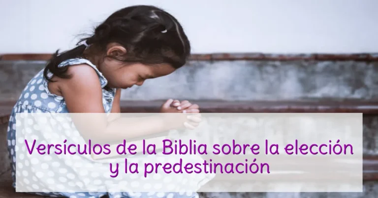 Versículos de la Biblia sobre la elección y la predestinación