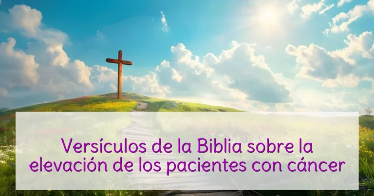 Versículos de la Biblia sobre la elevación de los pacientes con cáncer