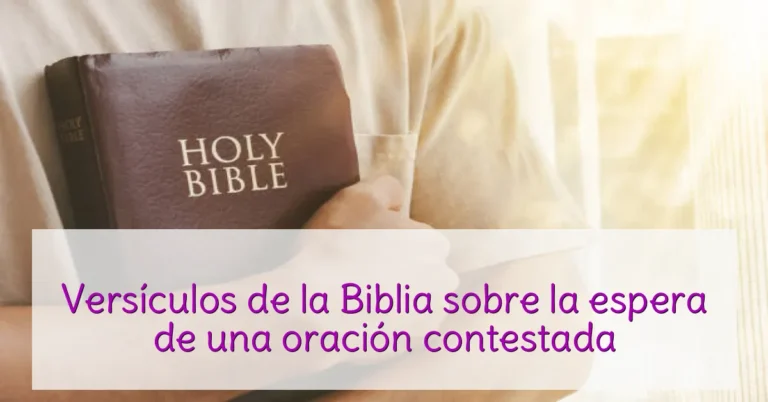 Versículos de la Biblia sobre la espera de una oración contestada
