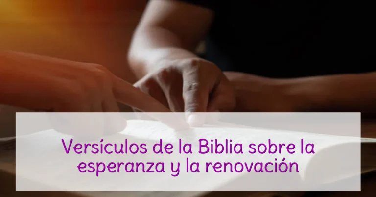 Versículos de la Biblia sobre la esperanza y la renovación
