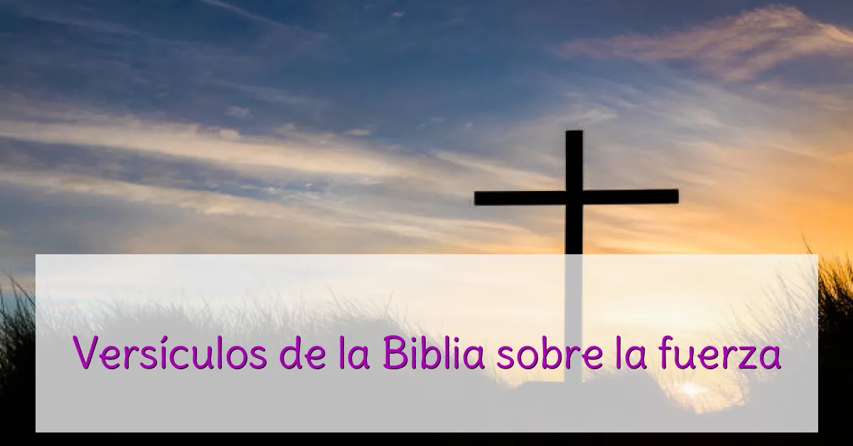 Versículos de la Biblia sobre la fuerza