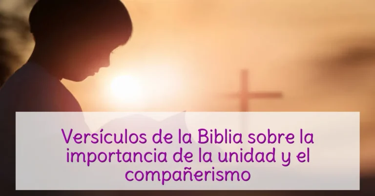 Versículos de la Biblia sobre la importancia de la unidad y el compañerismo