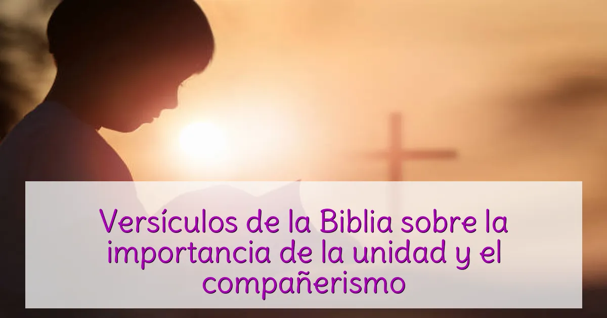 Versículos de la Biblia sobre la importancia de la unidad y el compañerismo