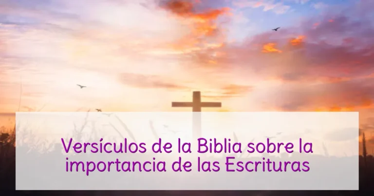 Versículos de la Biblia sobre la importancia de las Escrituras