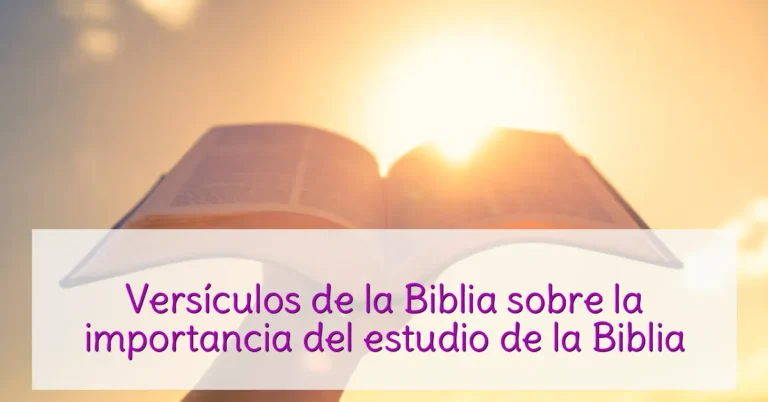 Versículos de la Biblia sobre la importancia del estudio de la Biblia