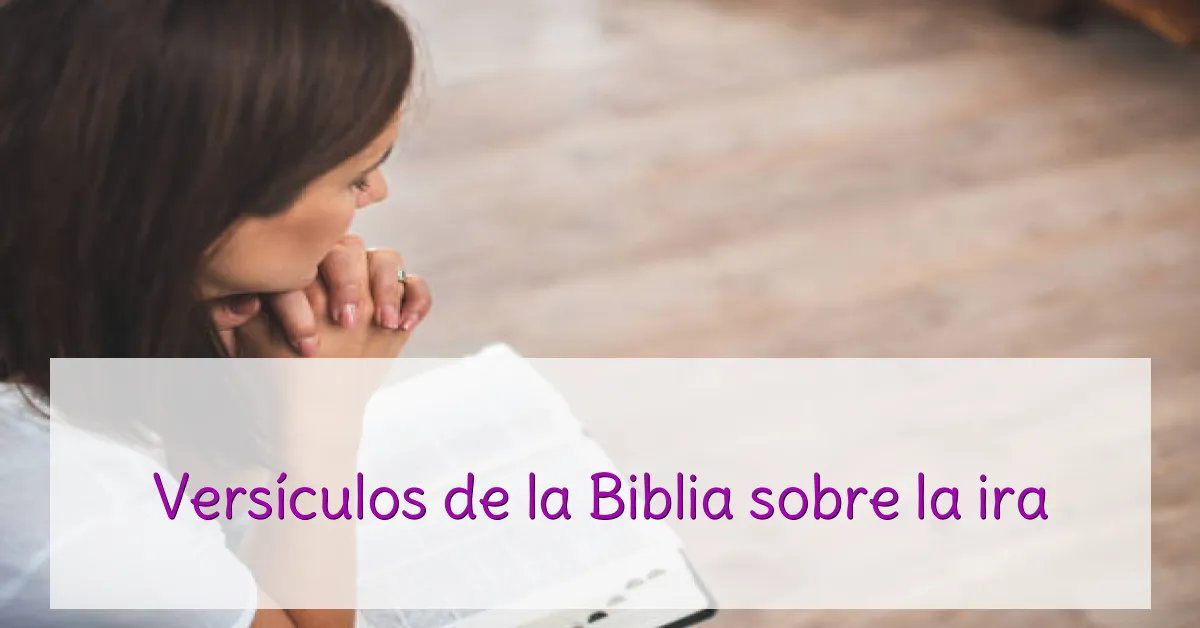 Versículos de la Biblia sobre la ira