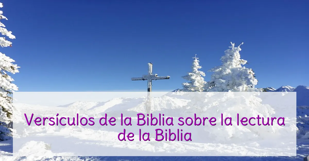 Versículos de la Biblia sobre la lectura de la Biblia