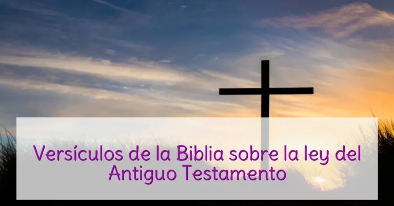 Versículos de la Biblia sobre la ley del Antiguo Testamento