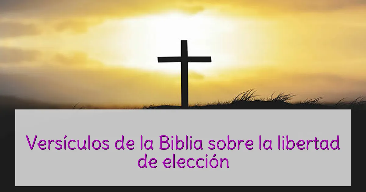 Versículos de la Biblia sobre la libertad de elección