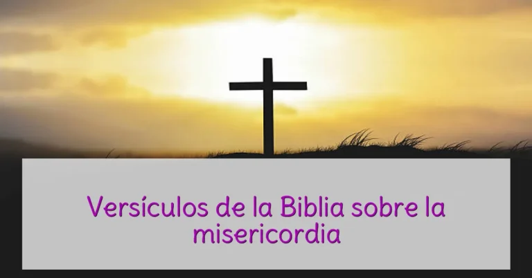 Versículos de la Biblia sobre la misericordia