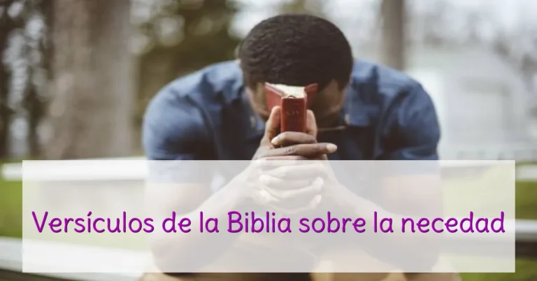 Versículos de la Biblia sobre la necedad