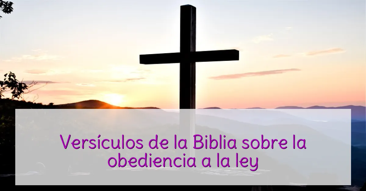 Versículos de la Biblia sobre la obediencia a la ley