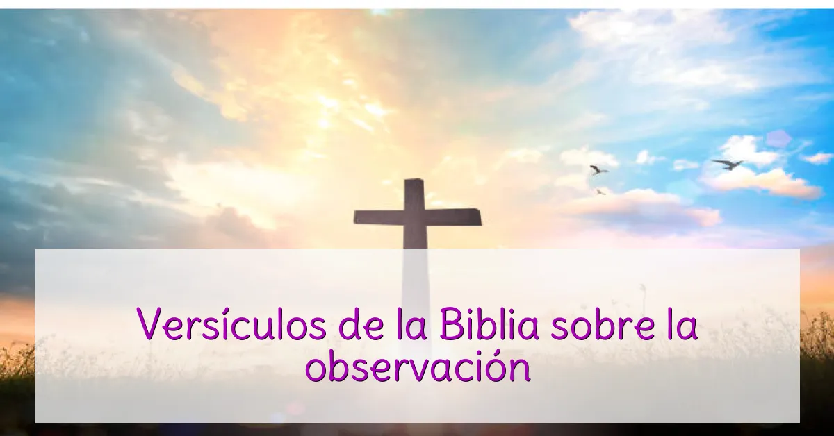 Versículos de la Biblia sobre la observación