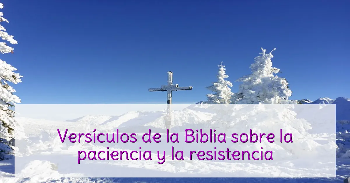 Versículos de la Biblia sobre la paciencia y la resistencia