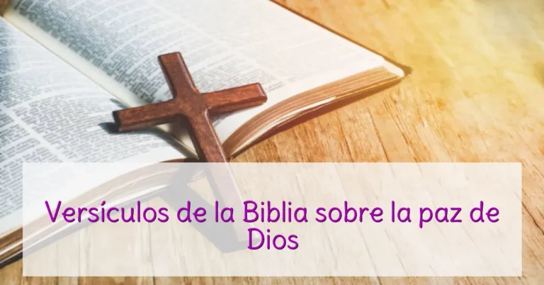 Versículos de la Biblia sobre la paz de Dios