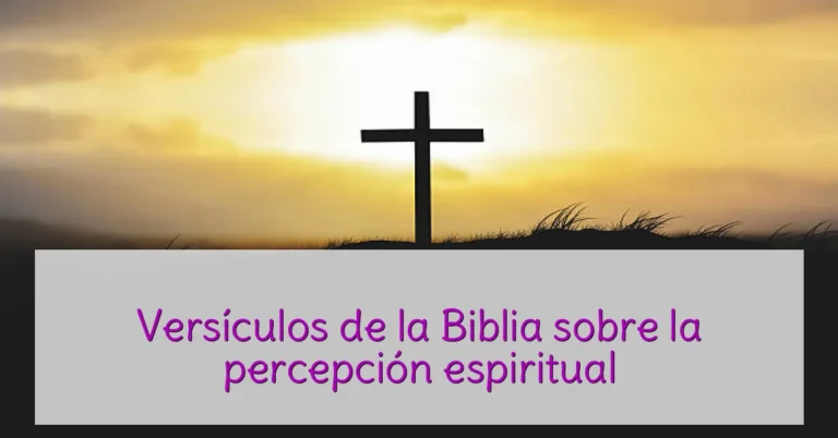 Versículos de la Biblia sobre la percepción espiritual