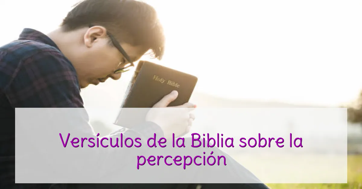 Versículos de la Biblia sobre la percepción