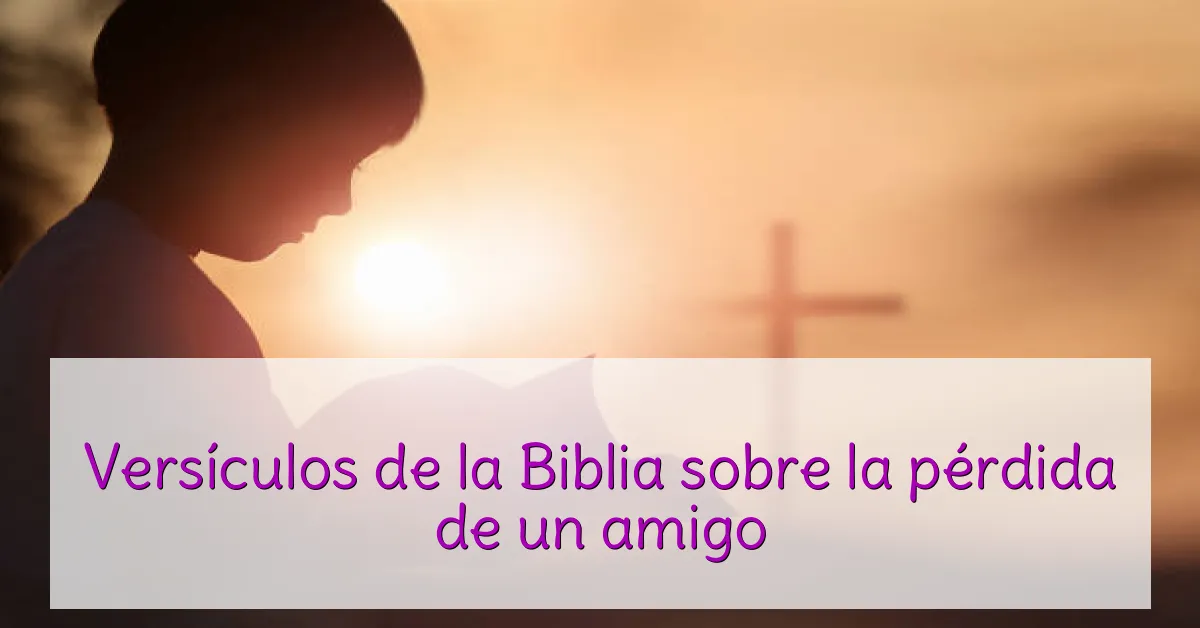 Versículos de la Biblia sobre la pérdida de un amigo