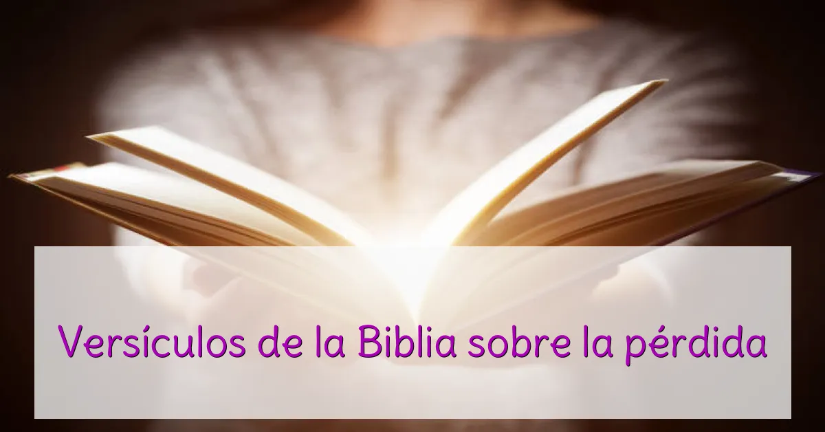 Versículos de la Biblia sobre la pérdida