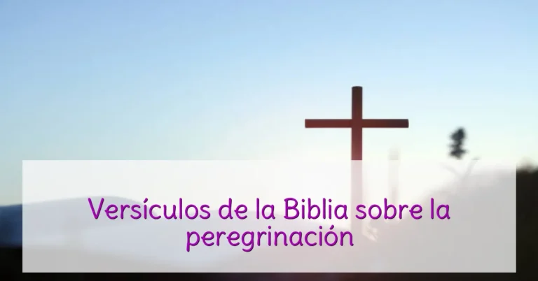 Versículos de la Biblia sobre la peregrinación