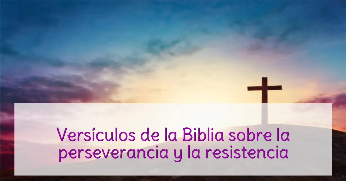 Versículos de la Biblia sobre la perseverancia y la resistencia