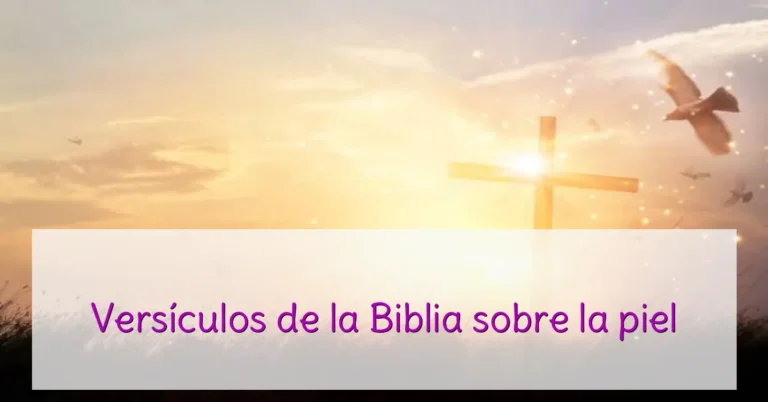 Versículos de la Biblia sobre la piel
