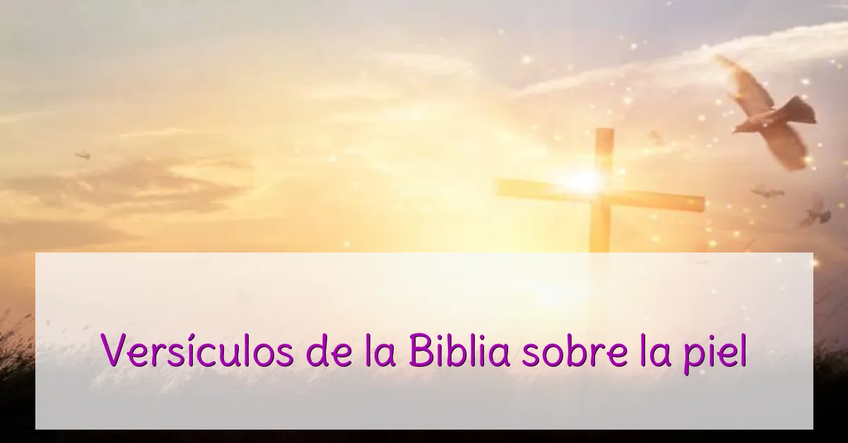 Versículos de la Biblia sobre la piel