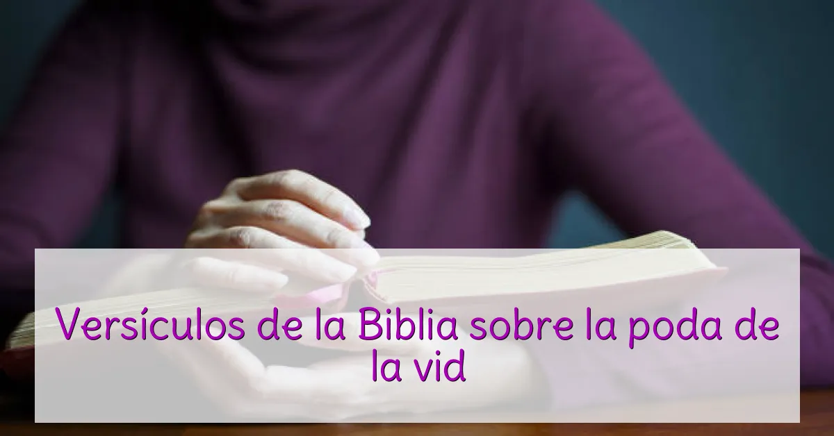 Versículos de la Biblia sobre la poda de la vid
