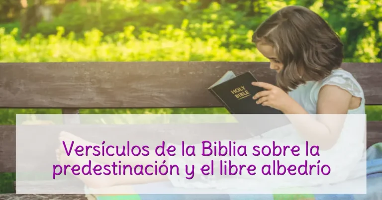 Versículos de la Biblia sobre la predestinación y el libre albedrío