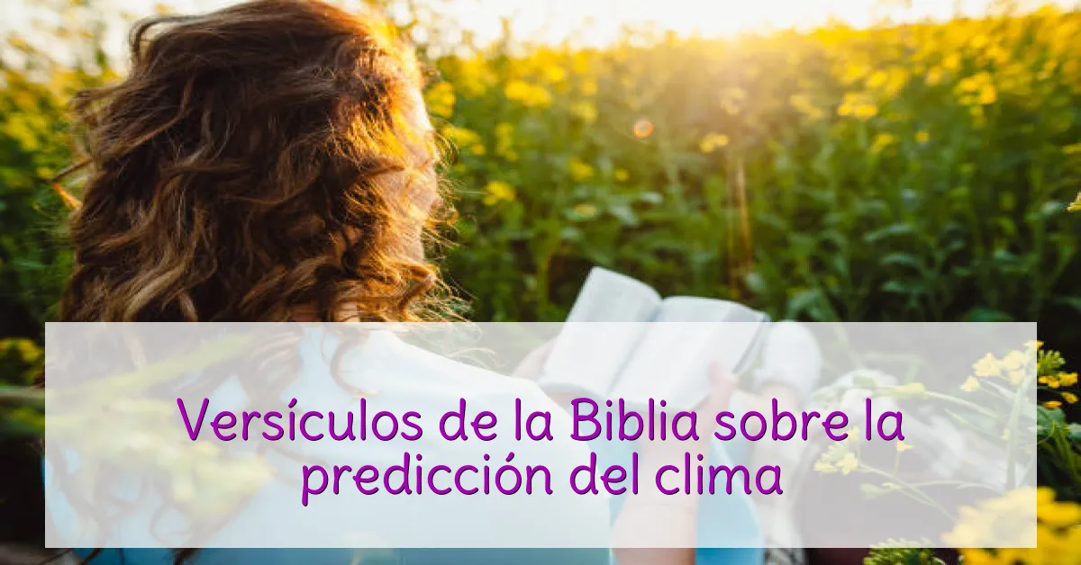 Versículos de la Biblia sobre la predicción del clima
