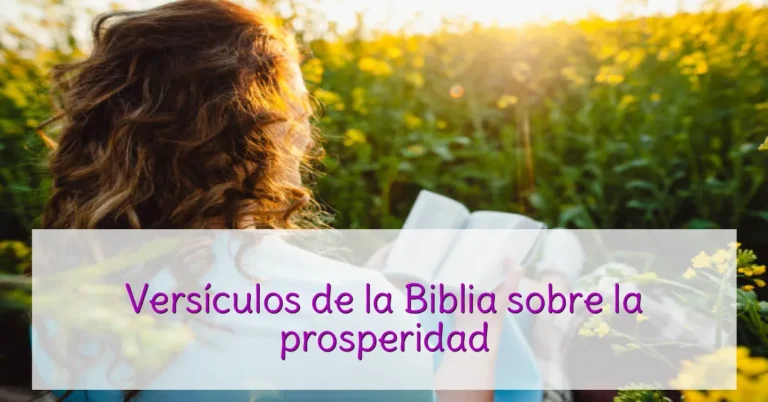 Versículos de la Biblia sobre la prosperidad