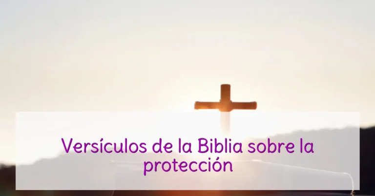 Versículos de la Biblia sobre la protección