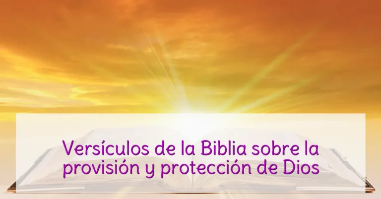 Versículos de la Biblia sobre la provisión y protección de Dios
