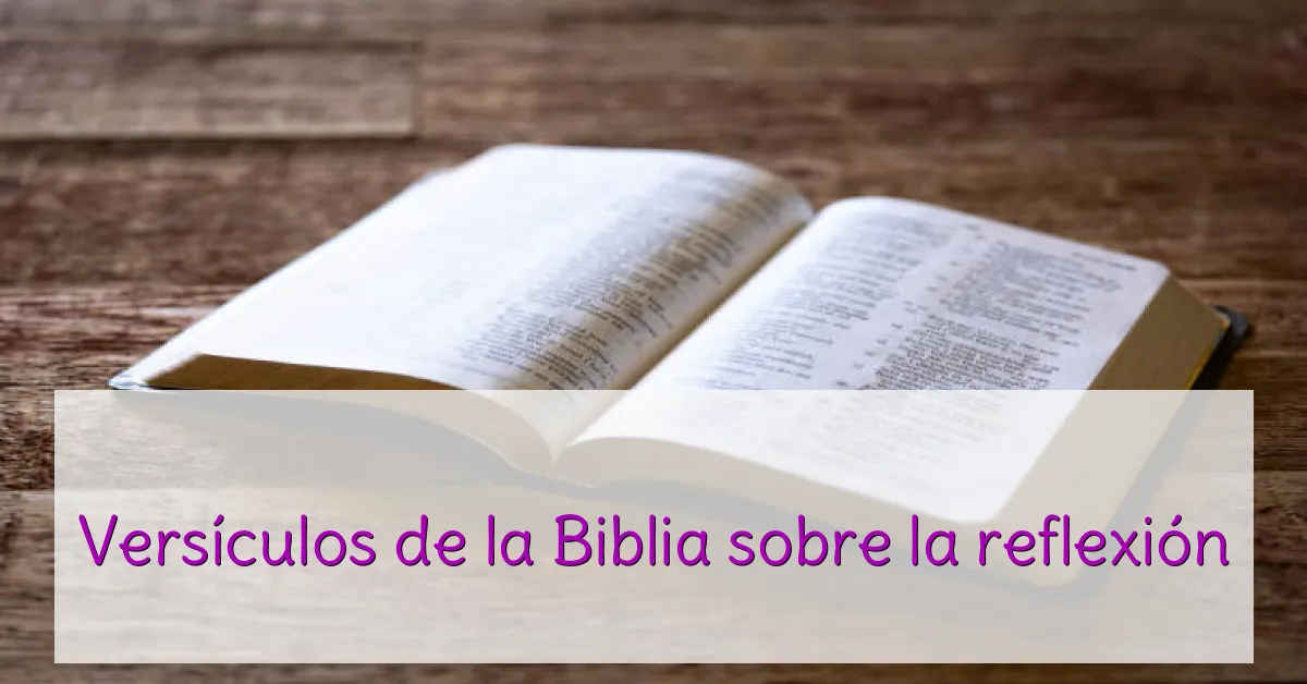 Versículos de la Biblia sobre la reflexión