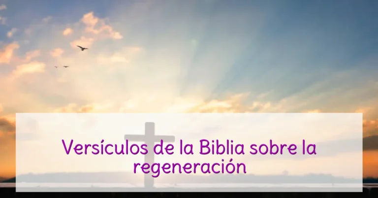 Versículos de la Biblia sobre la regeneración