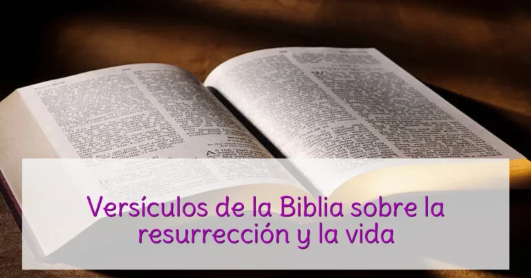 Versículos de la Biblia sobre la resurrección y la vida