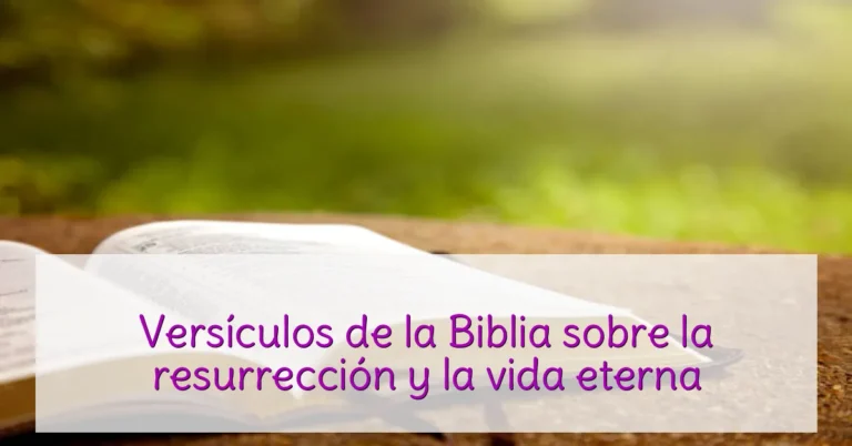 Versículos de la Biblia sobre la resurrección y la vida eterna