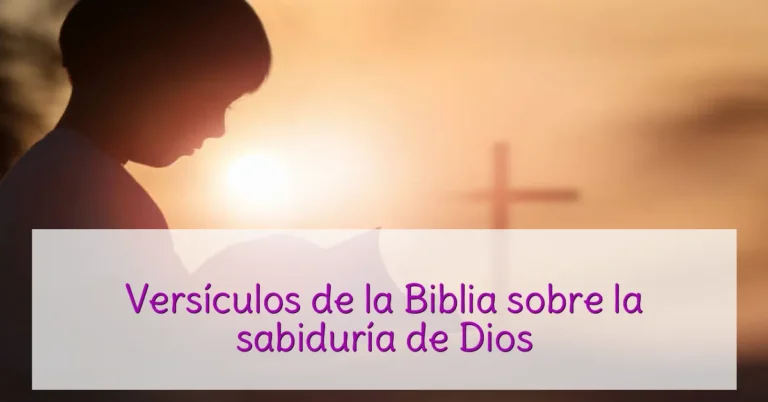 Versículos de la Biblia sobre la sabiduría de Dios