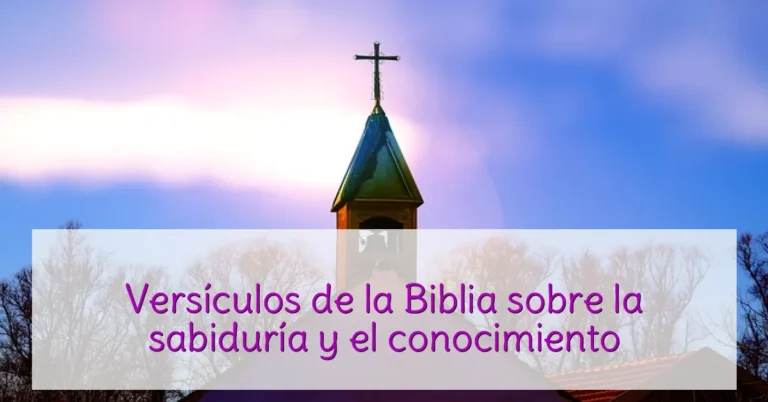 Versículos de la Biblia sobre la sabiduría y el conocimiento