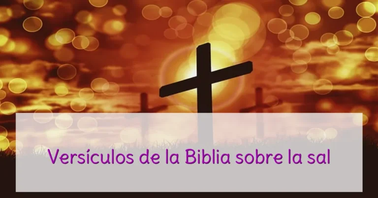 Versículos de la Biblia sobre la sal