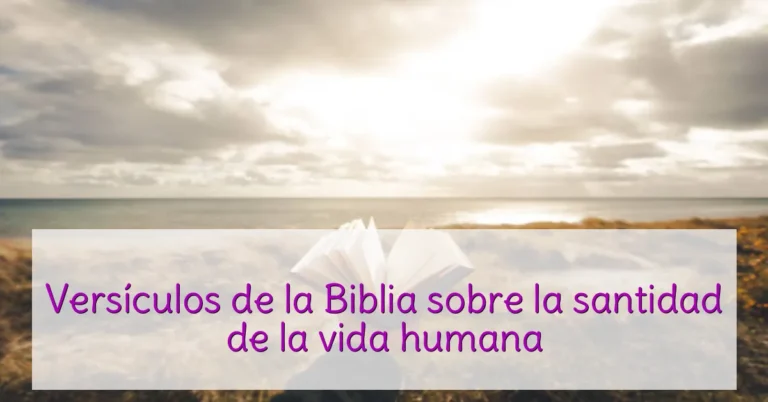 Versículos de la Biblia sobre la santidad de la vida humana