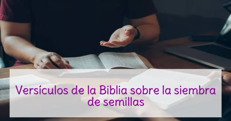 Versículos de la Biblia sobre la siembra de semillas