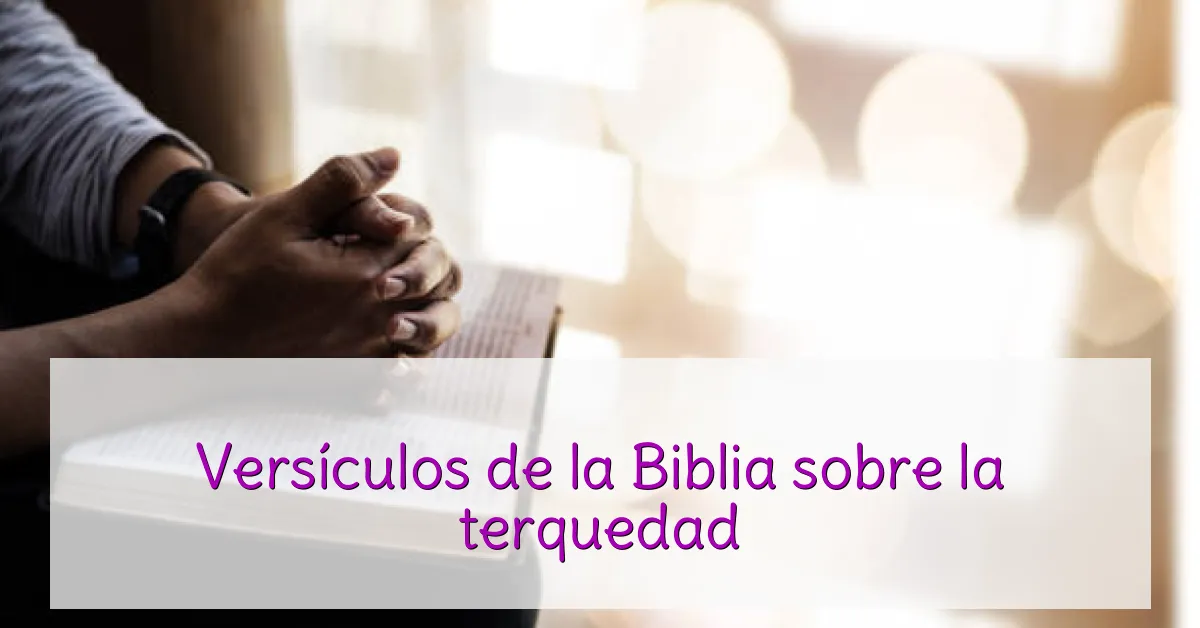 Versículos de la Biblia sobre la terquedad