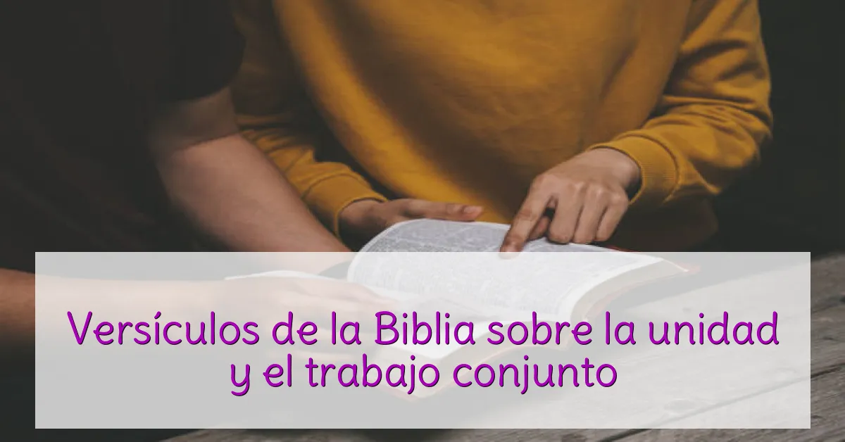 Versículos de la Biblia sobre la unidad y el trabajo conjunto