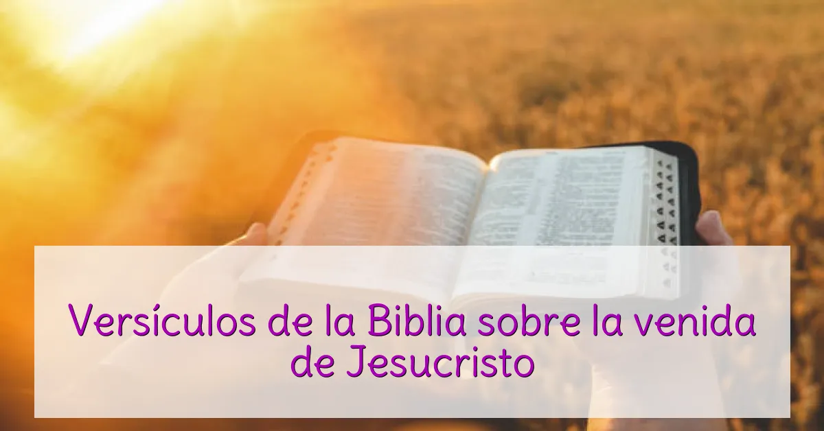 Versículos de la Biblia sobre la venida de Jesucristo