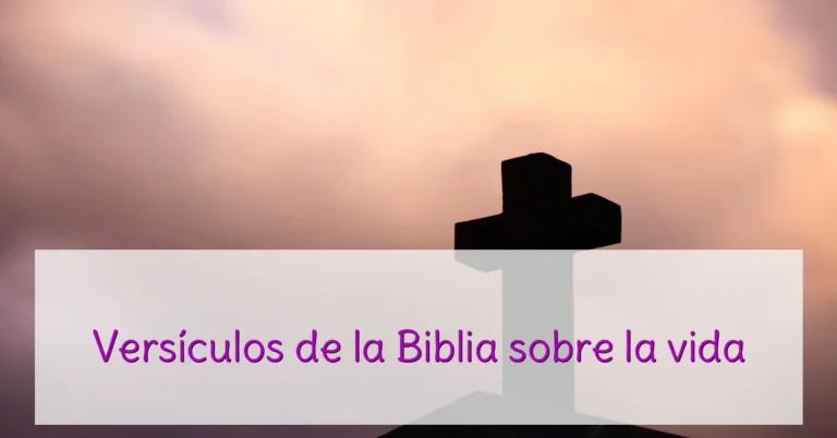 Versículos de la Biblia sobre la vida