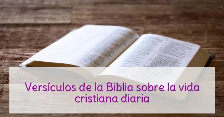 Versículos de la Biblia sobre la vida cristiana diaria