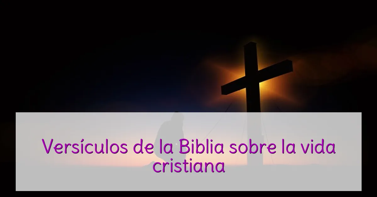 Versículos de la Biblia sobre la vida cristiana